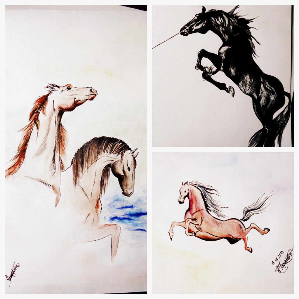 Equine Dreams